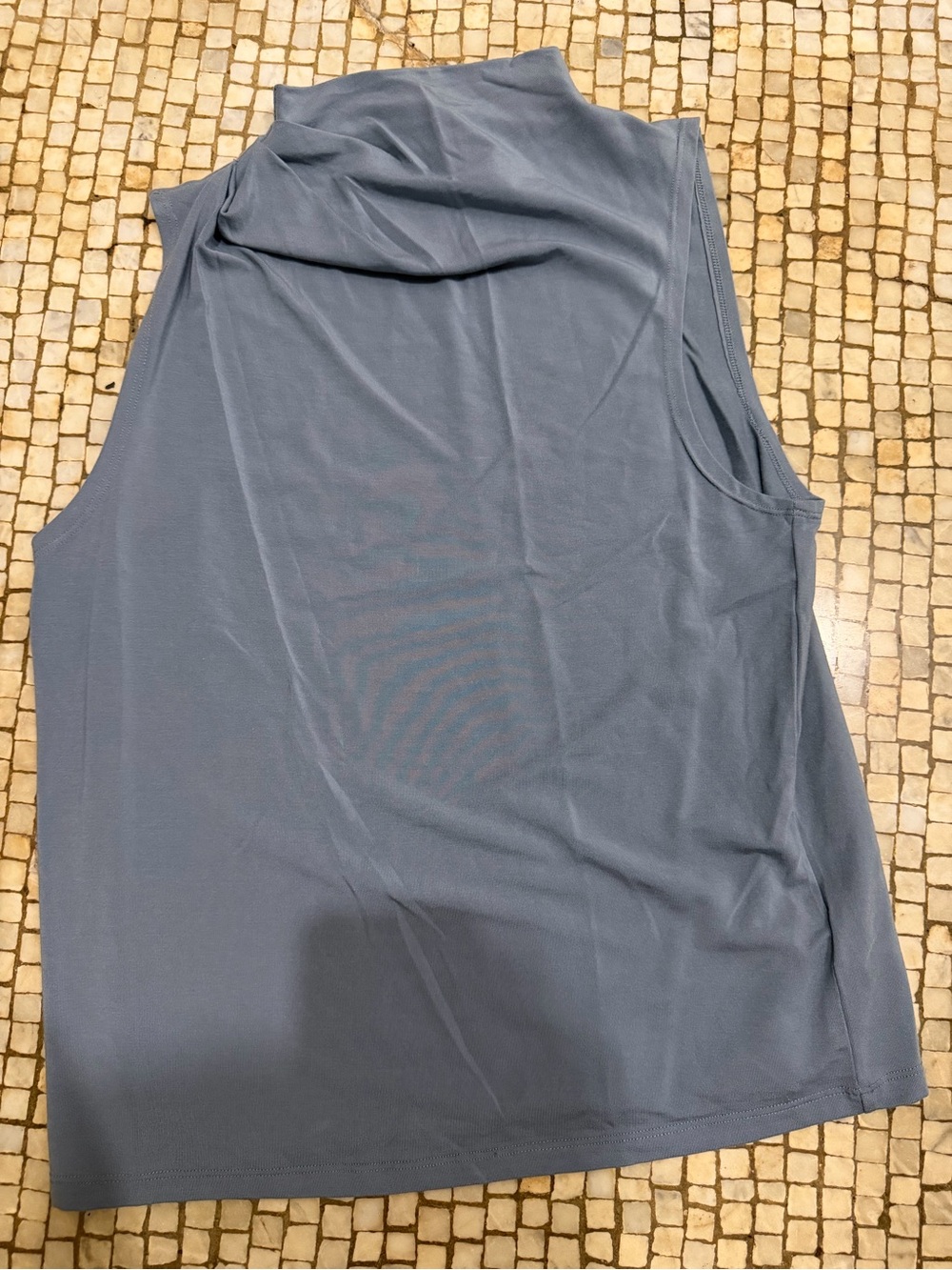Aritzia Babaton Boardroom Tank Top